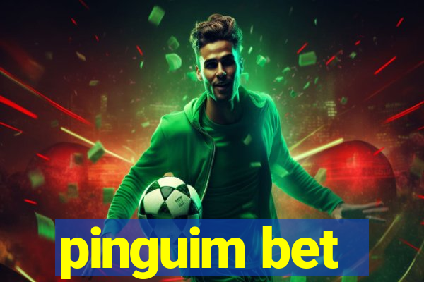 pinguim bet